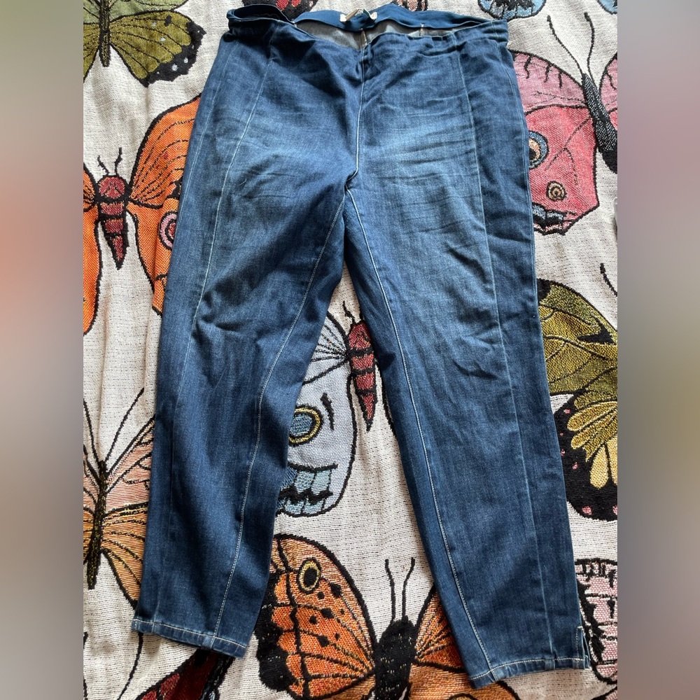 Anthropogie plus skinny jeans